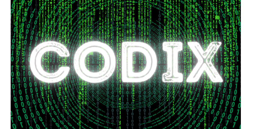 Vizual CODIX _ larg